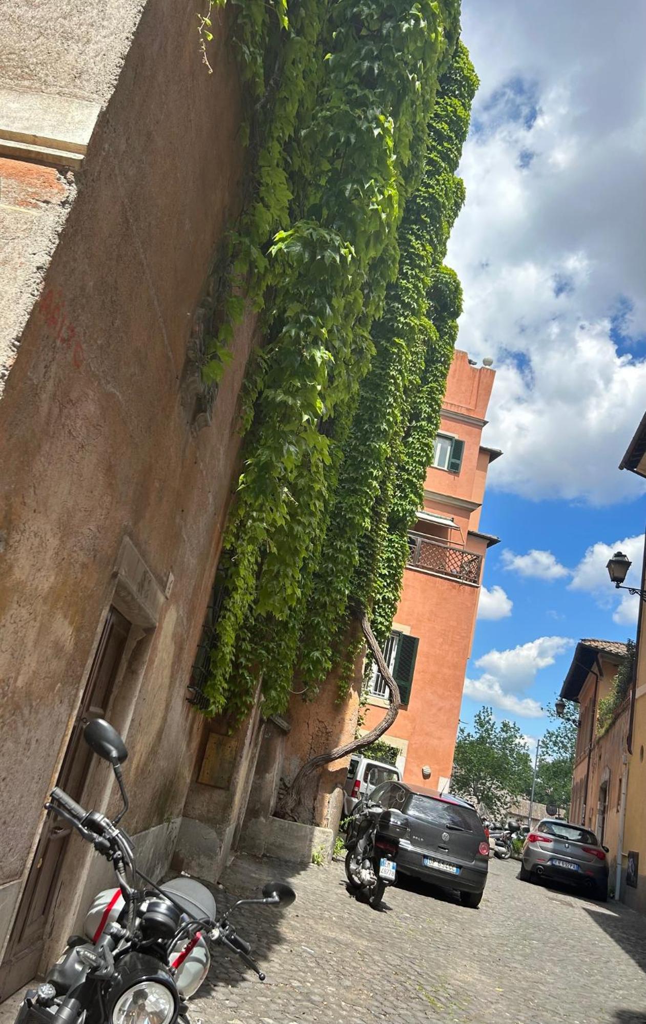 Garden House Trastevere 로마 외부 사진