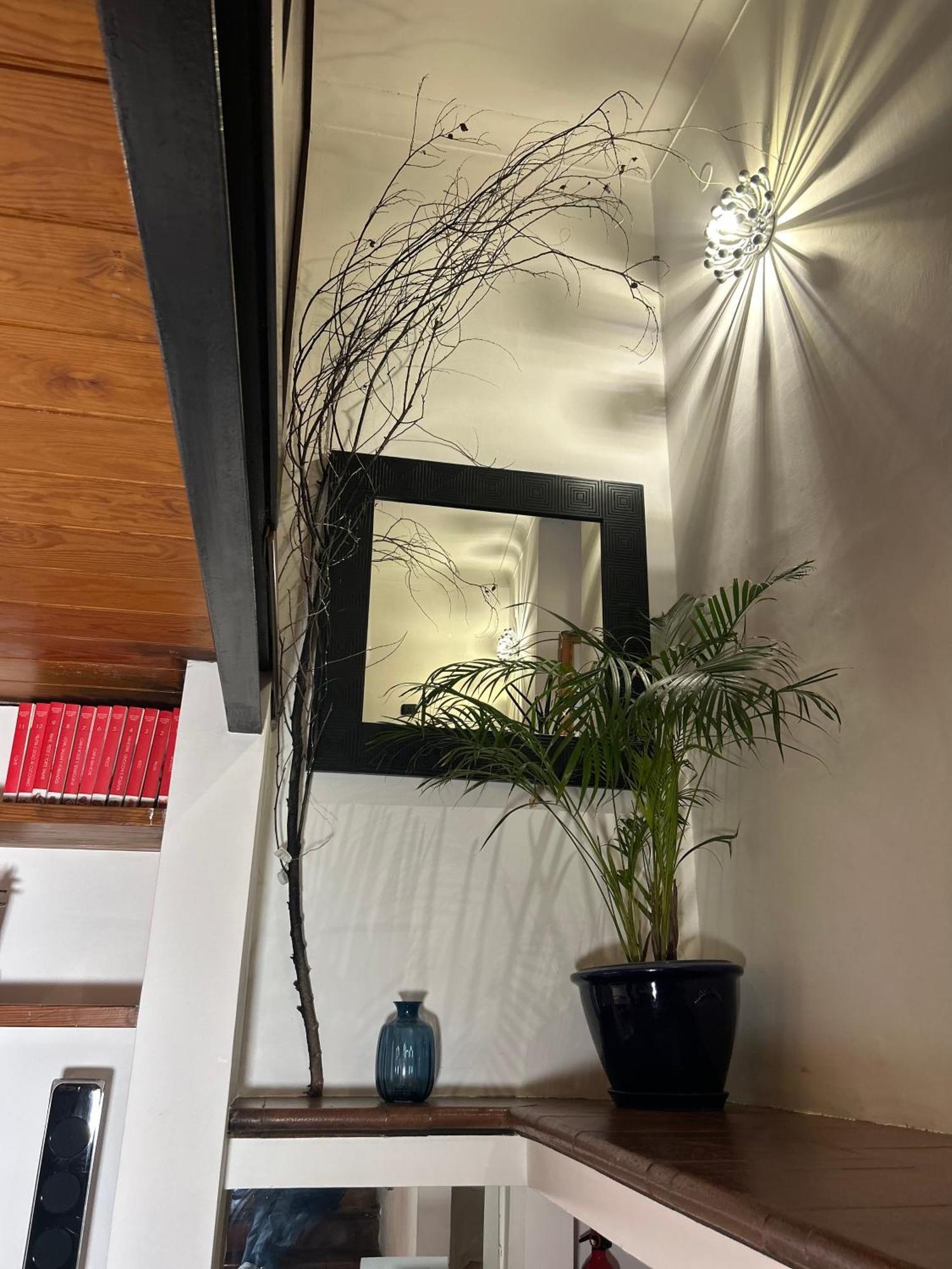 Garden House Trastevere 로마 외부 사진